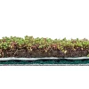 AboutGreen Dachbegrünung Roll und Go Dachneigung 1-5