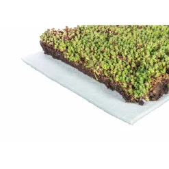 Dachbegrünung Roll und Go Dachneigung 5-10^AboutGreen Clearance