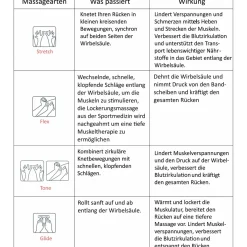 Multifunktions- Massagesessel 90, grau^Alpha Techno Discount