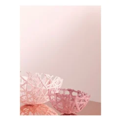 Feine Farben Zarte Romantik 2,5 L*Alpina New