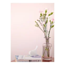 Feine Farben Zarte Romantik 2,5 L*Alpina New