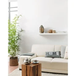 Naturaweiß 10 L*Alpina