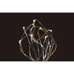 Cluster-Lichterkette 10 LEDs*Ambientis Best