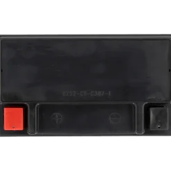 Batterie GEL YTX14-BS 14Ah 260A