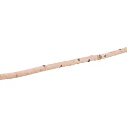 Birkenstamm 90 cm Durchmesser 2-4 cm^ Hot