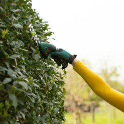 Gras-und Strauchschere Isio^Bosch Outlet