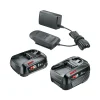Akku-Set 18V 2,0Ah und 3,0Ah und AL18V-20*Bosch Hot