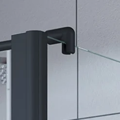 Pendeltür Elana 6 für Seitenwand schwarz matt Satiniert 800 mm*Breuer Hot