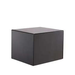 Burg Wächter Sicherheitsschrank Combi-Line CL 410K Schlüssel schwarz