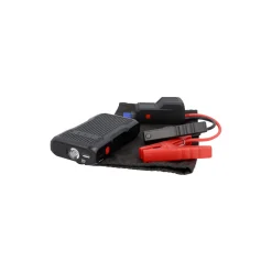 Jumpstarter 12 V^Cartrend Hot