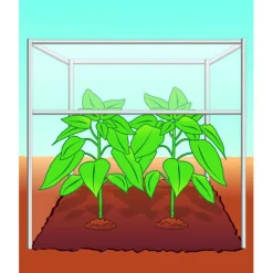 BIO Tomaten- und Gemüseerde torffrei 40 L^Compo New