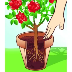 Compo BIO Universal-Erde torffrei 40 L