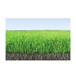 Rasendünger mit Langzeitwirkung Aktion 13,75 kg^Compo New