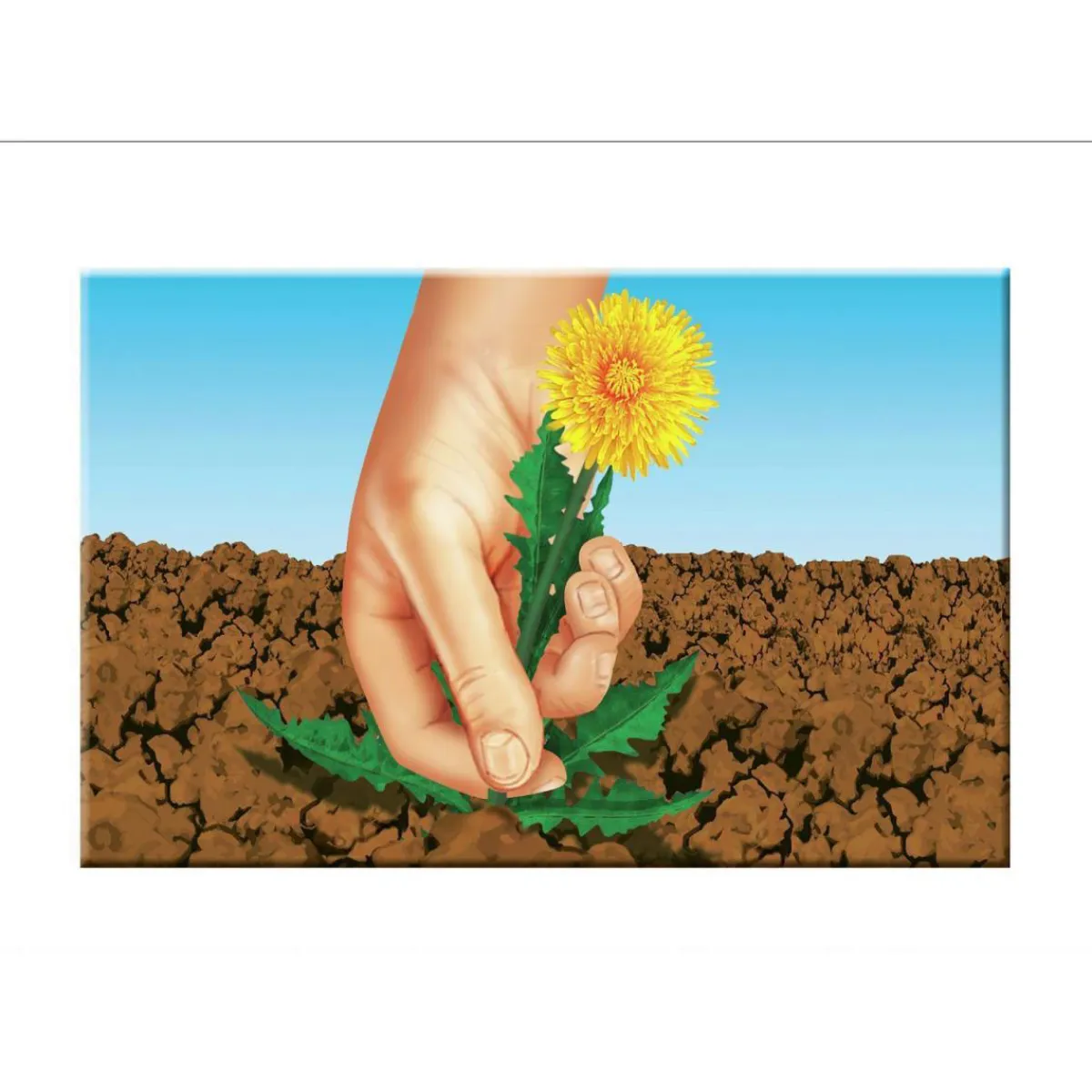 Rasensaat Spiel und Sport Aktion 4 kg*Compo Best