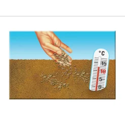 Rasensaat Spiel und Sport Aktion 4 kg*Compo Best