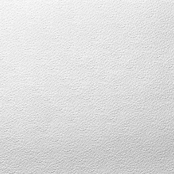 Deckenplatte Turin 0,5 x 0,5 m^