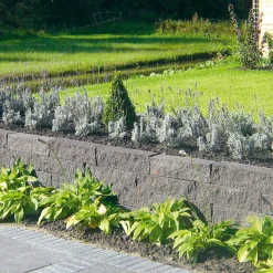 Mauerstein Cup-Kombi schwarz 50 x 12,5 x 12,5 cm^Diephaus