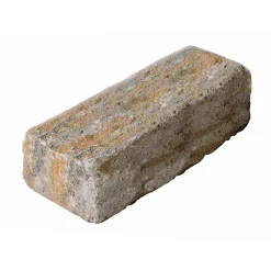 Diephaus Mauerstein Cup-Mini Muschelk. 50 x 16,5 x 15 cm