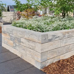 Mauerstein Linear Kombi Muschelkalk 80 x 12,5 x 12,5 cm*Diephaus Best