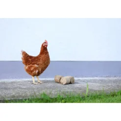 Dinkelspelzenbriketts 24 Stück