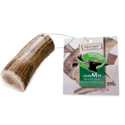 Dog Chewies Damhirsch-Geweih-Snack M* Hot