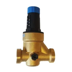 Druckminderer 1" ohne Manometer^