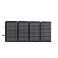 Solarpanel 220W bifazial faltbar*EcoFlow Online