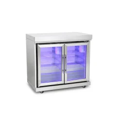 Edelstahl-Erweiterungsmodul mit Doppelkühlschrank*