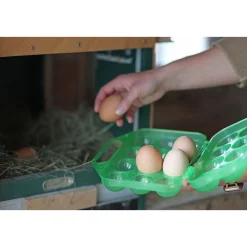 Eier-Transportbox für 12 Eier grün^Kerbl Online