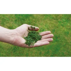 Benzin-Rasenmäher GC-PM 56/2 S HW*Einhell New