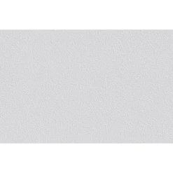 Erfurt Vliesfaser Protect 208 weiß 1005 x 53 cm