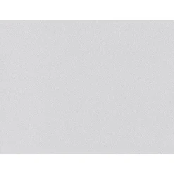 Erfurt Vliesfaser Protect 203 weiß 1005 x 53 cm