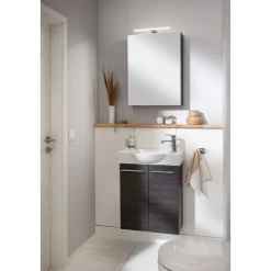 Fackelmann Gäste-WC Spiegelschrank rechts SBC 500 x 680 x 153 mm DarkOak