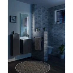 Gäste-WC Waschtischunterschrank links SBC 440 x 600 x 243 mm anthrazit*Fackelmann Discount