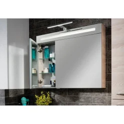 LED-Spiegelschrank B.clever 90 x 71 x 16 cm Alaska-Esche^Fackelmann Online