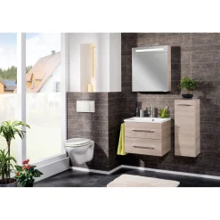 LED-Spiegelschrank B.clever 60 x 71 x 16 cm Alaska-Esche^Fackelmann Clearance