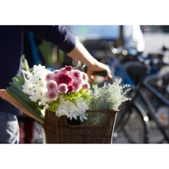 Fischer Bikes Gepäckträgerkorb Retro