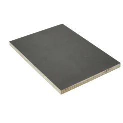 Fixmaßzuschnitt Sieb/Film 12 mm 1200 x 600 x 12mm* Outlet