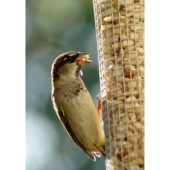 Futterspender 9,5 x 9,5 x 39 cm Metall Silber