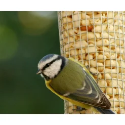 Futterspender 9,5 x 9,5 x 39 cm Metall Silber