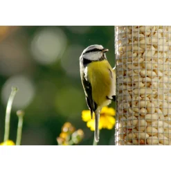 Futterspender 9,5 x 9,5 x 39 cm Metall Silber