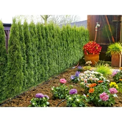 Gardena Micro-Drip-System Starter-Set Pflanzreihe Größe S