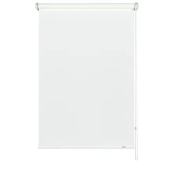 Seitenzugrollo 162 x 180 cm Uni weiß^Gardinia Sale