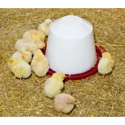 Geflügel-Tränke 3,5 L weiß-rot* Discount