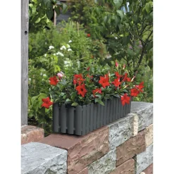 Blumenkasten Palido 50 cm anthrazit^Geli Clearance