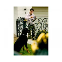 Hammerite Metallschutzlack hellgrau 750 ml