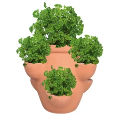 Erdbeer- und Kräutertopf Giardino^Haveson Online