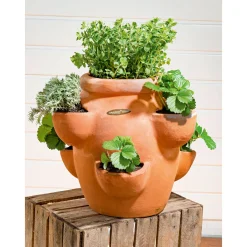 Erdbeer- und Kräutertopf Giardino^Haveson Online