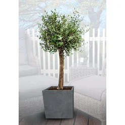 Pflanzkübel Granite 50 x 50 x 51 cm^Haveson