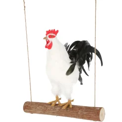 Hühnerschaukel Durchmesser 5 x 39 cm braun* Online